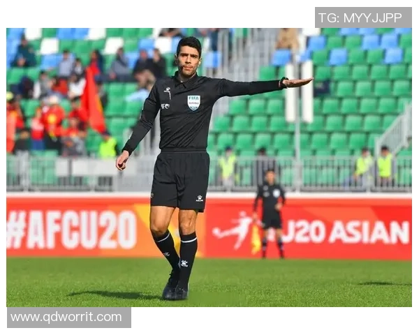 亚冠精英联赛上海申花对阵FC首尔裁判组阵容解析主裁贾迈利掌控全场